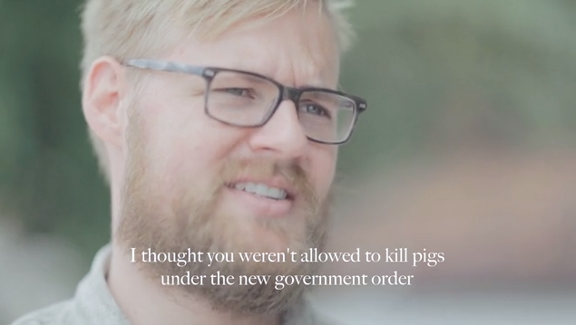 no-kill-pigs-new-govenment-order